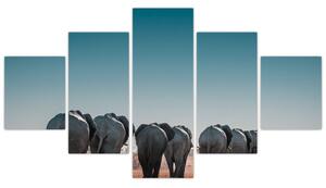 Obraz - Odchod slonů (125x70 cm)