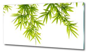 Fotoobraz na skle Listí bambusu osh-81471407