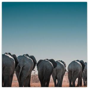 Obraz - Odchod slonů (30x30 cm)