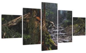 Obraz - V lese (125x70 cm)