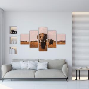 Obraz - Příchod slona (125x70 cm)