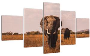 Obraz - Příchod slona (125x70 cm)
