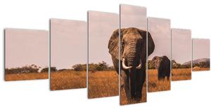 Obraz - Příchod slona (210x100 cm)