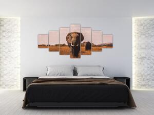 Obraz - Příchod slona (210x100 cm)