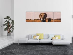 Obraz - Příchod slona (170x50 cm)