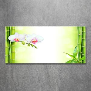 Fotoobraz na skle Orchidej a bambus osh-82165838