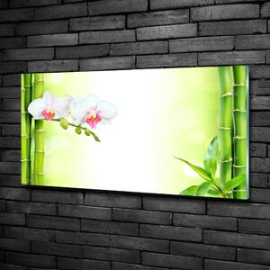 Fotoobraz na skle Orchidej a bambus osh-82165838