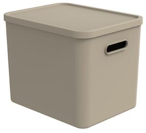 Rotho Úložný box, rovný s víkem, 27l, béžová ALBU LIGHT, 37x29x30