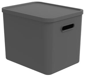 Rotho Úložný box, rovný s víkem, 27l, antracit ALBU LIGHT, 37x29x30