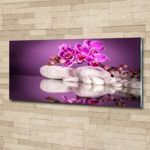 Foto obraz sklo tvrzené Růžová orchidej osh-82457632