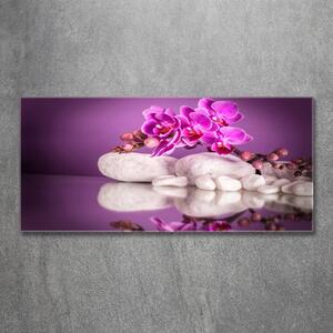 Foto obraz sklo tvrzené Růžová orchidej osh-82457632