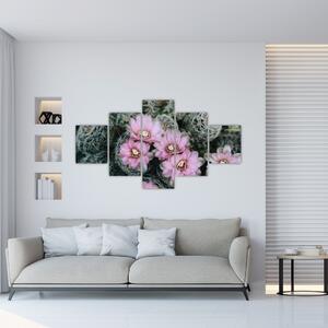 Obraz květ kaktusu (125x70 cm)