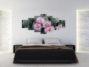 Obraz květ kaktusu (210x100 cm)