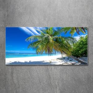 Foto obraz sklo tvrzené Tropická pláž osh-82585815