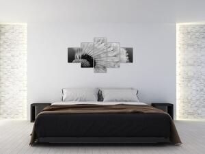 Obraz pampelišky - černobílý (125x70 cm)