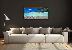 Fotoobraz na skle Tropická pláž osh-83145029