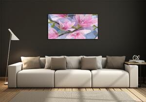 Foto obraz sklo tvrzené Růžová magnolie osh-83196443
