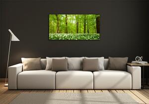 Foto obraz skleněný horizontální Květiny v lese osh-83235444