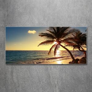 Fotoobraz na skle Tropická pláž osh-83274893