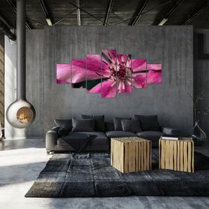 Obraz růžového květu Plaménku (210x100 cm)