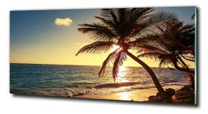 Fotoobraz na skle Tropická pláž osh-83274893