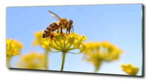 Fotoobraz na skle Včela na květině osh-83831573