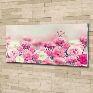 Moderní skleněný obraz z fotografie Květy divoké růže osh-84071229