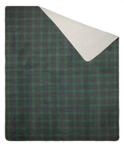 Kostkovaná zelená vánoční deka Šířka: 200 cm | Délka: 220 cm