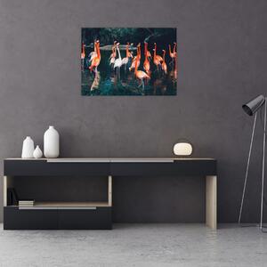 Obraz stáda plameňáků (70x50 cm)