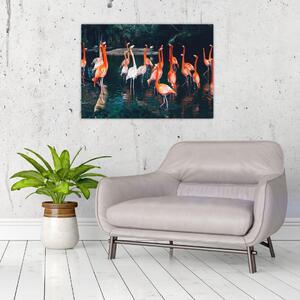 Obraz stáda plameňáků (70x50 cm)