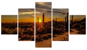 Obraz - Konec dne v arizonské poušti (125x70 cm)