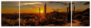 Obraz - Konec dne v arizonské poušti (170x50 cm)