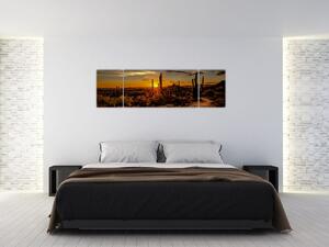 Obraz - Konec dne v arizonské poušti (170x50 cm)