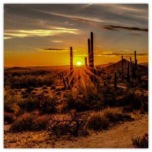 Obraz - Konec dne v arizonské poušti (30x30 cm)
