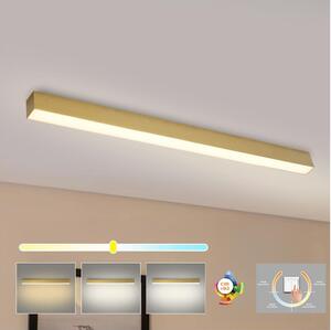 Brilagi - LED Koupelnové stropní svítidlo SLEEKLINE LED/40W/230V zlatá IP44