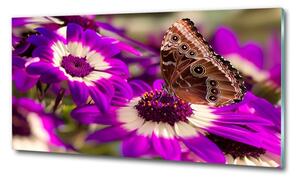 Fotoobraz skleněný na stěnu do obýváku Motýl na květině osh-84885251