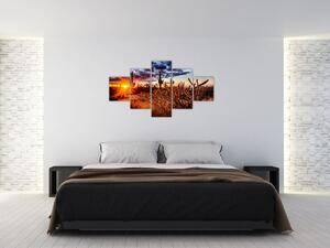 Obraz - Zlatá hodinka pouště (125x70 cm)