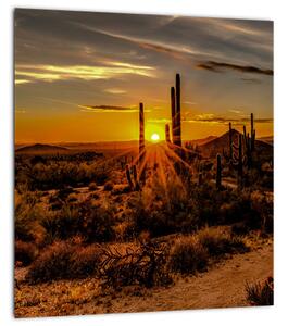 Obraz - Konec dne v arizonské poušti (30x30 cm)
