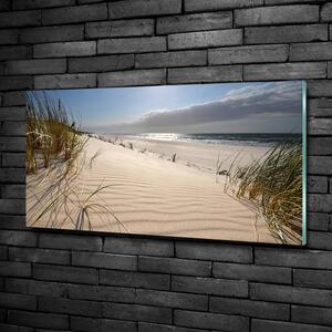 Fotoobraz na skle Mřežino pláž osh-84989686