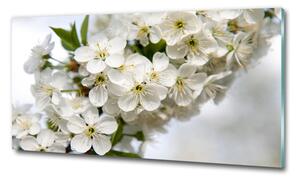Foto obraz fotografie na skle Květy višně osh-85335086