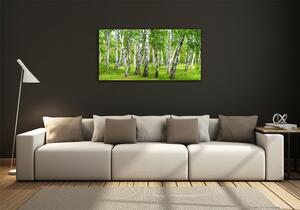 Fotoobraz na skle Břízový les osh-85613602