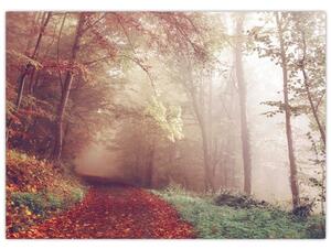 Obraz - Podzimní procházka lesem (70x50 cm)