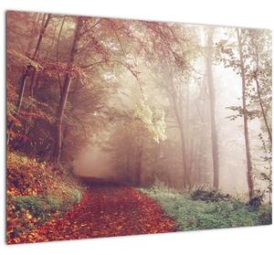 Obraz - Podzimní procházka lesem (70x50 cm)