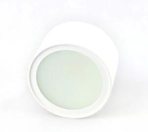 LED bodové svítidlo Minalox D100, 12W, CCT 1800-4500K, 24V Barva: Bílá