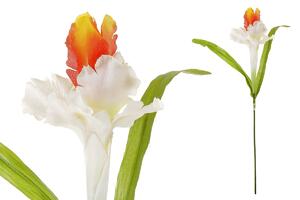 Autronic Iris, barva bílo-oranžová, umělá květina KU4177-OR