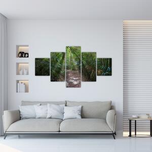Obraz - Sluneční paprsky v džungli (125x70 cm)