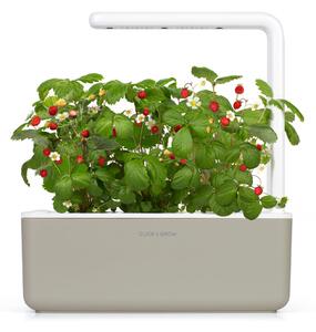Smart Garden 3 - chytrý květináč, béžová +