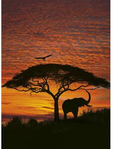 Komar papírová fototapeta African Sunset 4-501 Africký západ slunce, rozměry 194 x 270 cm