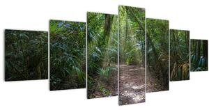 Obraz - Sluneční paprsky v džungli (210x100 cm)