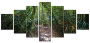 Obraz - Sluneční paprsky v džungli (210x100 cm)